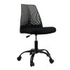 Ergonomic Office and Home Chair with Supportive Cushioning, Black