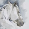 Hand Embellished Horse Framed Canvas Wall Art
