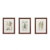 Botanical Illustration 3-piece Framed Glass and Single Matted Wall Art Set
