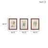 Botanical Illustration 3-piece Framed Glass and Single Matted Wall Art Set